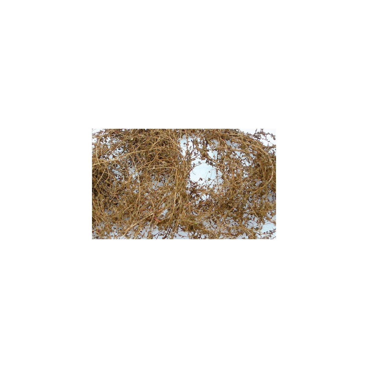 Dry Vines (Dead Foliage) -- .35oz 10g, HO, JTT Miniature Tree 95063