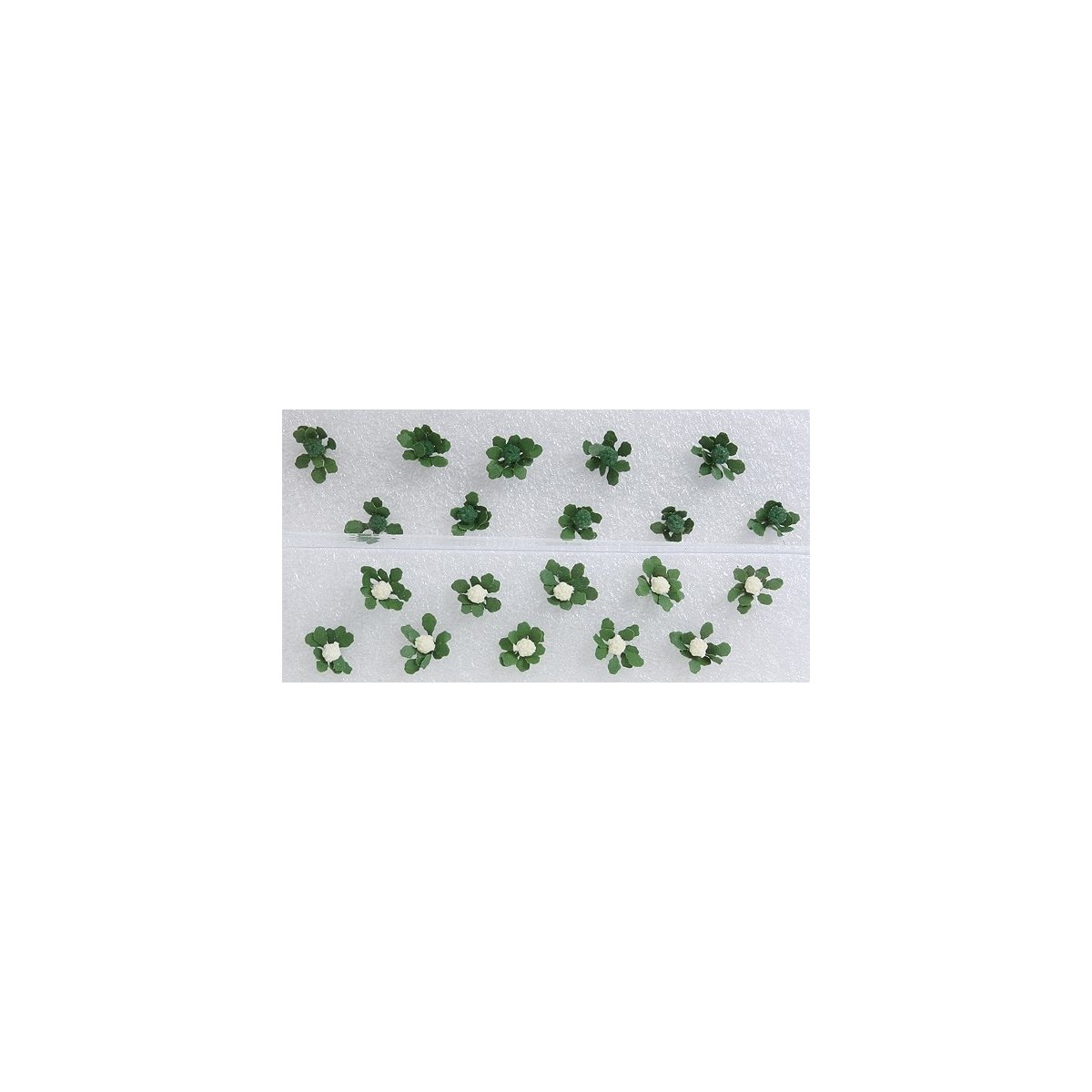 Broccoli & Cauliflower -- 3/8′ 1cm Tall pkg(20), HO, JTT Miniature Tree 95529