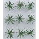 Ferns -- 1′ 2.5cm Wide pkg(9), O, JTT Miniature Tree 95534