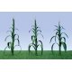 Corn Stalks -- 2′ 5cm Tall pkg(28), O, JTT Miniature Tree 95553