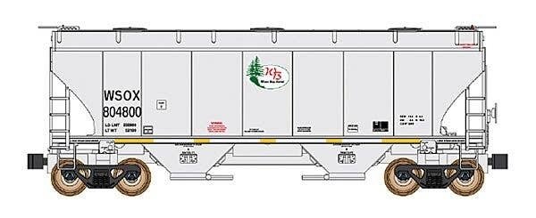 Trinity 3281 2-Bay Covered Hopper - Ready to Run -- First Union Rail WSOX (gray, W, N, Intermountain Railway Company 669010