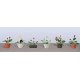Assorted Potted Flower Plants -- Set 3 pkg(6), HO, JTT Miniature Tree 95569