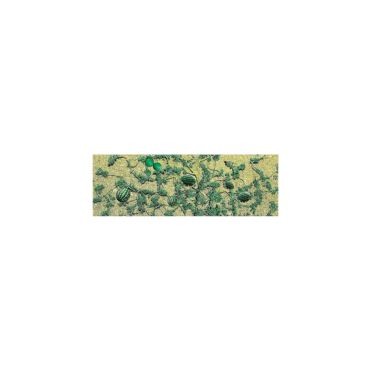 Watermelon Patch -- pkg(6), HO, JTT Miniature Tree 95575