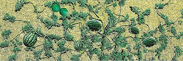 Watermelon Patch -- pkg(6), HO, JTT Miniature Tree 95575