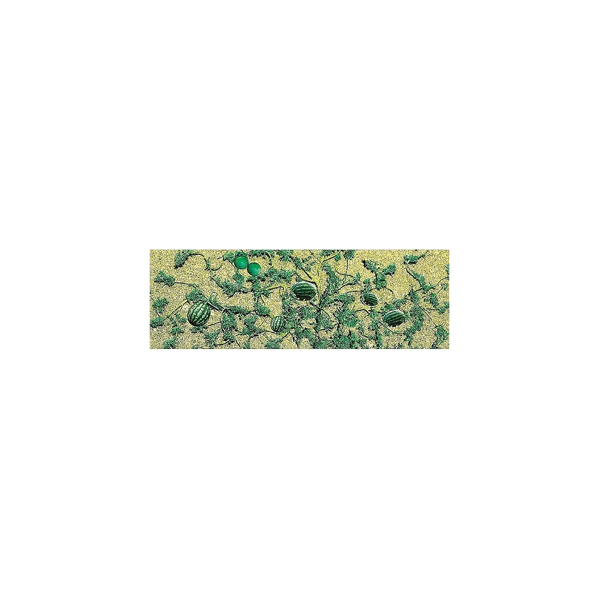 Watermelon Patch -- pkg(4), O, JTT Miniature Tree 95576