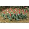 Primrose (Primula Vialii) pkg(32), HO, JTT Miniature Tree 95594