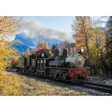 Class C Three-Truck Shay - Sound, Smoke and DCC -- Roaring Camp & Big Trees 7 (2025, black, graphite, red, Tu, G, LGB 26701