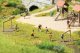 Children on the Soccer Field -- 6 Children, 2 Goals, HO, Noch Gmbh & Co 15817