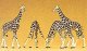Animals -- Giraffes, N, Preiser Kg 79715