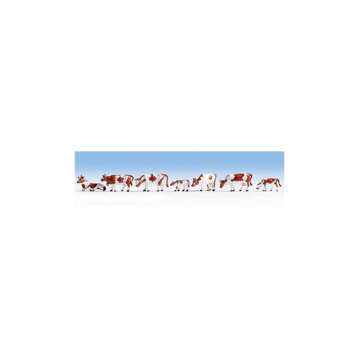 Cows -- Brown & White pkg(9), N, Noch Gmbh & Co 36723
