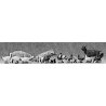 Animals -- Set of Small Animals, N, Preiser Kg 79093