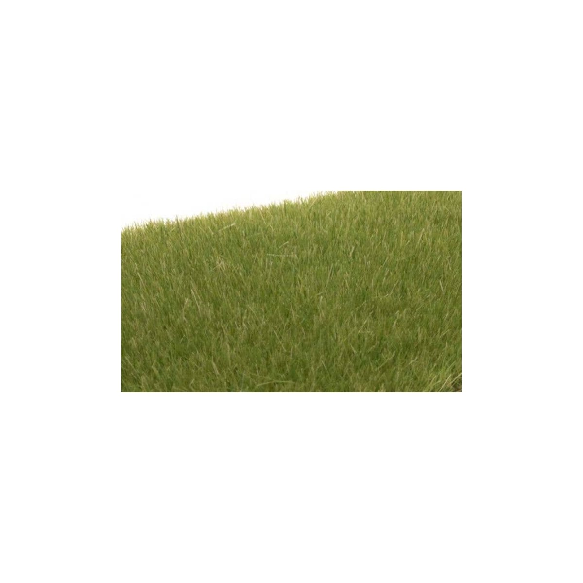 Static Grass - Field System - 1/8′ 4mm Fibers -- Medium Green, All Scales, Woodland Scenics 618