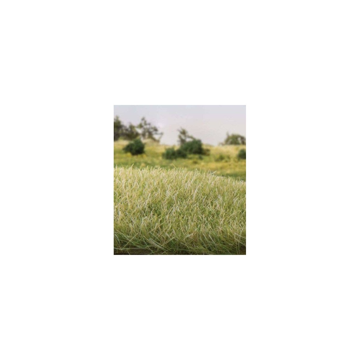 Static Grass 9/32′ 7mm Tall - All Game Terrain -- Light Green, All Scales, Woodland Scenics 6583
