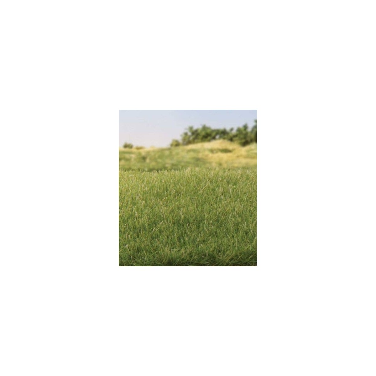 Static Grass 5/32′ 4mm Tall - All Game Terrain -- Medium Green, All Scales, Woodland Scenics 6572