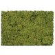 Flock & Turf - Scenic Foams & Ground Textures - Blended Tones - 64 Ounces -- Farm Pasture , All Scales, Scenic Express 886C
