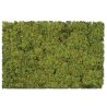 Flock & Turf - Scenic Foams & Ground Textures - Blended Tones - 64 Ounces -- Farm Pasture , All Scales, Scenic Express 886C