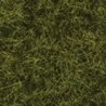 Static Wild Grass - 1.4oz 40g Extra Long Fibers - 1/2′ 1.2cm -- Meadow, All Scales, Noch Gmbh & Co 7110