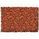 Flock & Turf - Scenic Foams & Ground Textures - Autumn Tones - 32 Ounces -- Autumn Glory B, All Scales, Scenic Express 871B