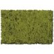 Flock & Turf - Scenic Foams & Ground Textures - Green Tones - 32 Ounces -- Moss Green - Co, All Scales, Scenic Express 823B