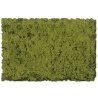 Flock & Turf - Scenic Foams & Ground Textures - Green Tones - 32 Ounces -- Moss Green - Co, All Scales, Scenic Express 823B