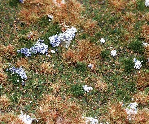 Premium Countryside Segment -- Forest Floor 8-1/4 x 5-7/8 x 3/8′ 21 x 14.8 x 1cm, All Scales, Faller Gmbh 180475