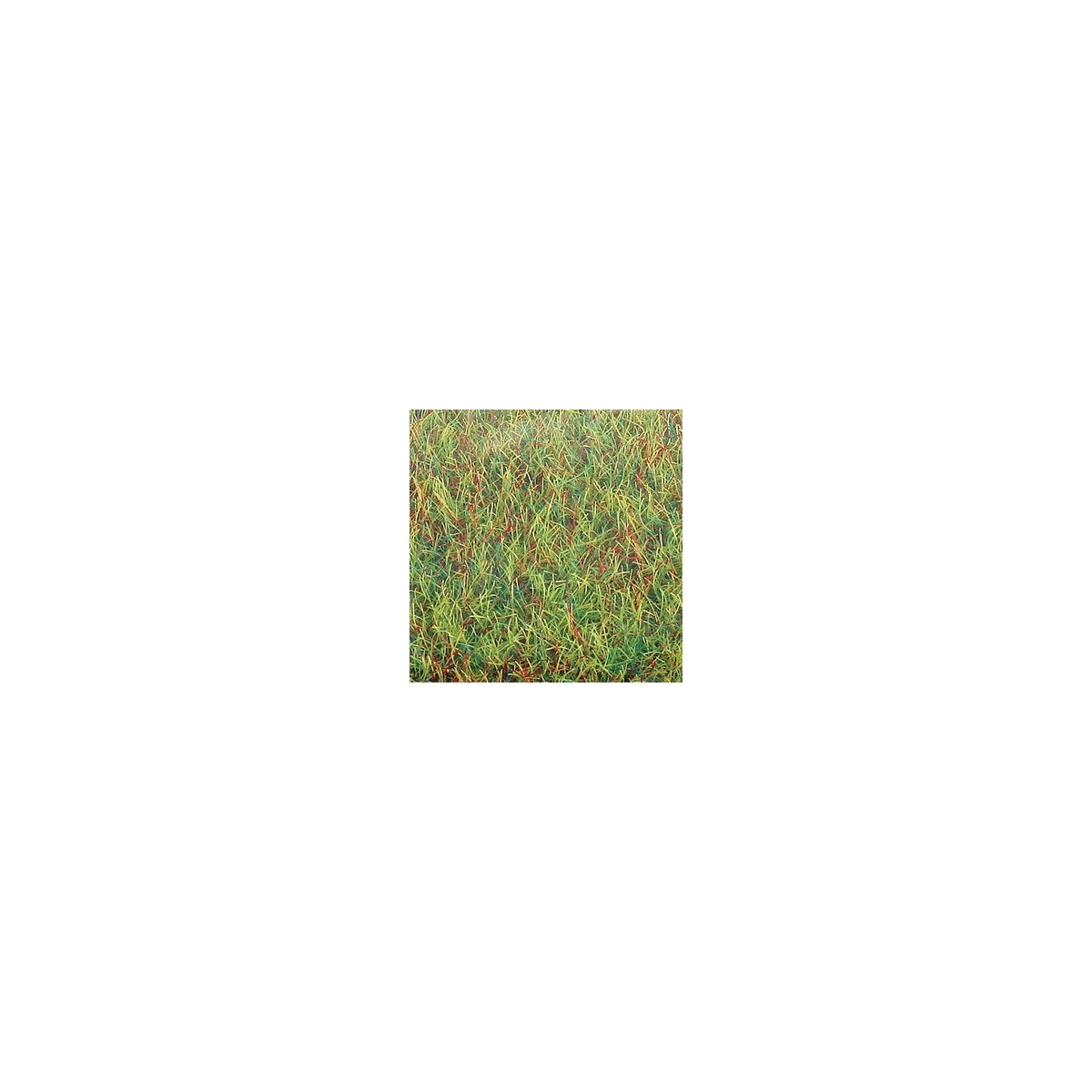 Large Grass Mat - 39-3/8 x 31-1/2′ 100 x 80cm -- Spring, All Scales, Busch Gmbh & Co Kg 7221