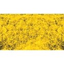 Decograss(R) Pad 11 x 5-1/2′ 28 x 14cm -- Goldenrod, All Scales, Heki/Mini Forest 1589