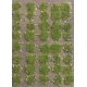 Grass Tufts with Stones -- Spring pkg(40), All Scales, Busch Gmbh & Co Kg 3551