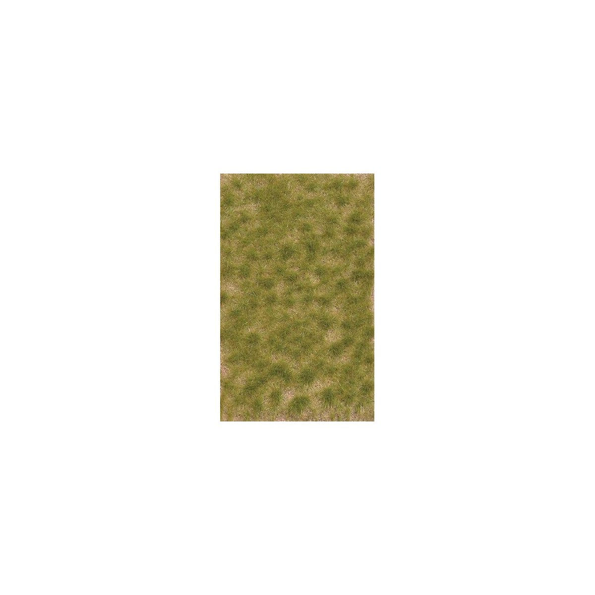 Grass Tuft Sheet -- 2-Color Late Summer Tufts 3/16` .4cm Tall, 5-7/16 x 3-7/16` 13.8 x, All Scales, Busch Gmbh & Co Kg 3533