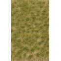 Grass Tuft Sheet -- 2-Color Late Summer Tufts 3/16` .4cm Tall, 5-7/16 x 3-7/16` 13.8 x, All Scales, Busch Gmbh & Co Kg 3533