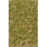 Grass Tuft Sheet -- 2-Color Late Summer Tufts 3/16` .4cm Tall, 5-7/16 x 3-7/16` 13.8 x, All Scales, Busch Gmbh & Co Kg 3533