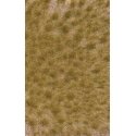 Grass Tuft Sheet -- Long Fall Tufts 3/16` .4cm Tall, 5-7/16 x 3-7/16` 13.8 x 8.8cm, All Scales, Busch Gmbh & Co Kg 3519