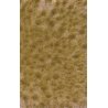 Grass Tuft Sheet -- Long Fall Tufts 3/16` .4cm Tall, 5-7/16 x 3-7/16` 13.8 x 8.8cm, All Scales, Busch Gmbh & Co Kg 3519
