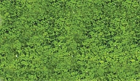 Foliage Pad - 11 x 5-1/2′ 27.9 x 14cm -- Spring Green, All Scales, Heki/Mini Forest 1554