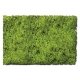 Flock & Turf - Scenic Foams & Ground Textures - Blended Tones - 32 Ounces -- Scrub Lawn Bl, All Scales, Scenic Express 882B