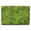 Flock & Turf - Scenic Foams & Ground Textures - Blended Tones - 32 Ounces -- Scrub Lawn Bl, All Scales, Scenic Express 882B