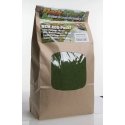Flock & Turf Ground Cover ECO Pack Bag - 48oz 1.4L -- Fine - Spring Green, All Scales, Scenic Express 810E