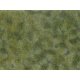 Ground Cover Foliage Pad -- Medium Green 4-3/4 x 7-1/16′ 12 x 18cm, All Scales, Noch Gmbh & Co 7250