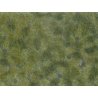 Ground Cover Foliage Pad -- Medium Green 4-3/4 x 7-1/16′ 12 x 18cm, All Scales, Noch Gmbh & Co 7250
