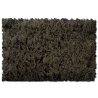 Flock & Turf - Scenic Foams & Ground Textures - Brown Tones - 32 Ounces -- Soil Brown - Co, All Scales, Scenic Express 846B