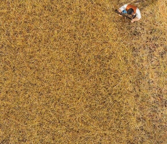 Ground Cover/Flocking - Premium -- Hay - 1oz 30g, All Scales, Faller Gmbh 170775