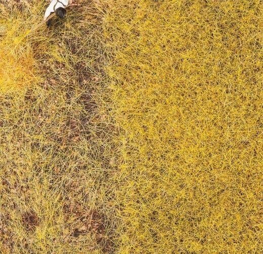 Ground Cover/Flocking - Premium -- Straw 1oz 30g, All Scales, Faller Gmbh 170776