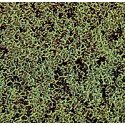Foam Scatter Material-Fine -- Medium Green, All Scales, Busch Gmbh & Co Kg 7312