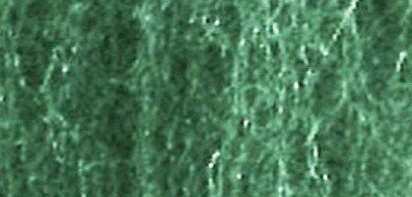 Foliage Fiber Cluster -- Fine Dark Green 150 Square Inches, All Scales, JTT Miniature Tree 95068