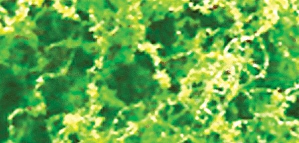 Foliage Fiber Cluster -- Fine Light Green 150 Square Inches, All Scales, JTT Miniature Tree 95064