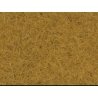 Scatter Material - .7oz 20g -- Beige, All Scales, Noch Gmbh & Co 8362