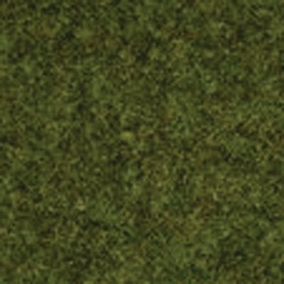 Static Grass - .7oz 20g -- Spring Meadow, Medium Fibers 3/32′ .25cm Long, All Scales, Noch Gmbh & Co 8312