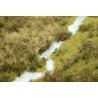 Thinning Grass Pad - 11-11/16 x 8-1/4′ 29.7 x 21cm -- Grass Meadow w/Stream, HO, Busch Gmbh & Co Kg 1313