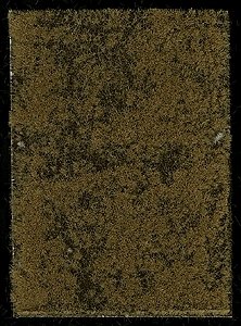 Thinning Grass Pad - 11-11/16 x 8-1/4′ 29.7 x 21cm -- Late Summer/Early Autumn Grass, HO, Busch Gmbh & Co Kg 1305