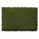 Flock & Turf - Scenic Foams & Ground Textures - Green Tones - 64 Ounces -- Burnt Green - F, All Scales, Scenic Express 812C